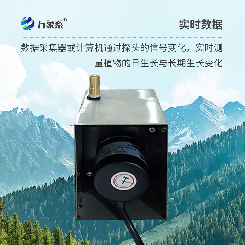 植物生長傳感器，監(jiān)測環(huán)境因子對樹干生長變化的影響